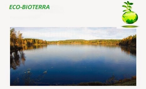 Tratarea apelor lacuri , iazuri, balti